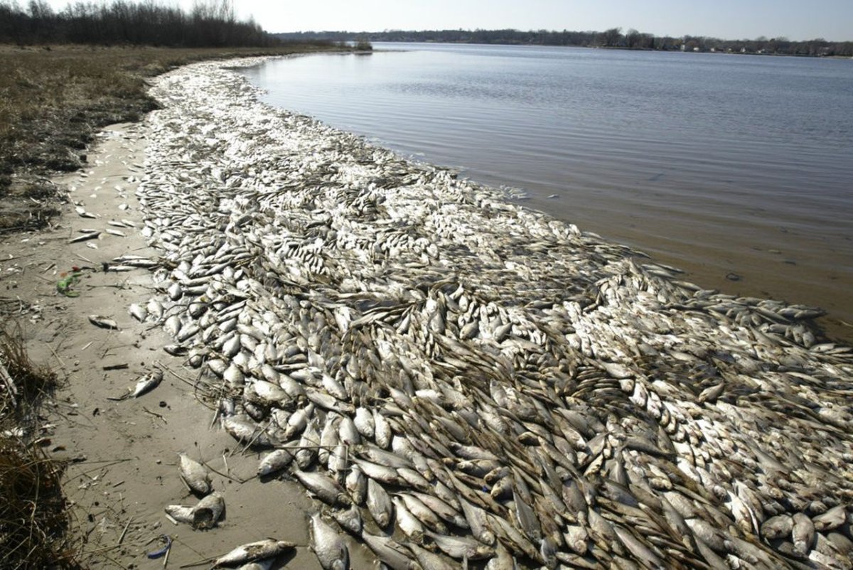Аршань-Зельменский водохранилище