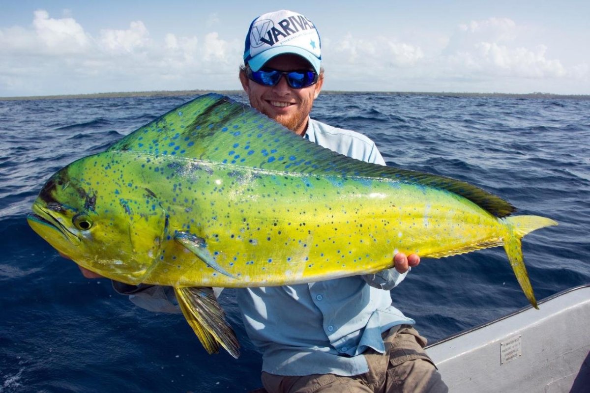 Blue Reef Sport Fishing Lodge
