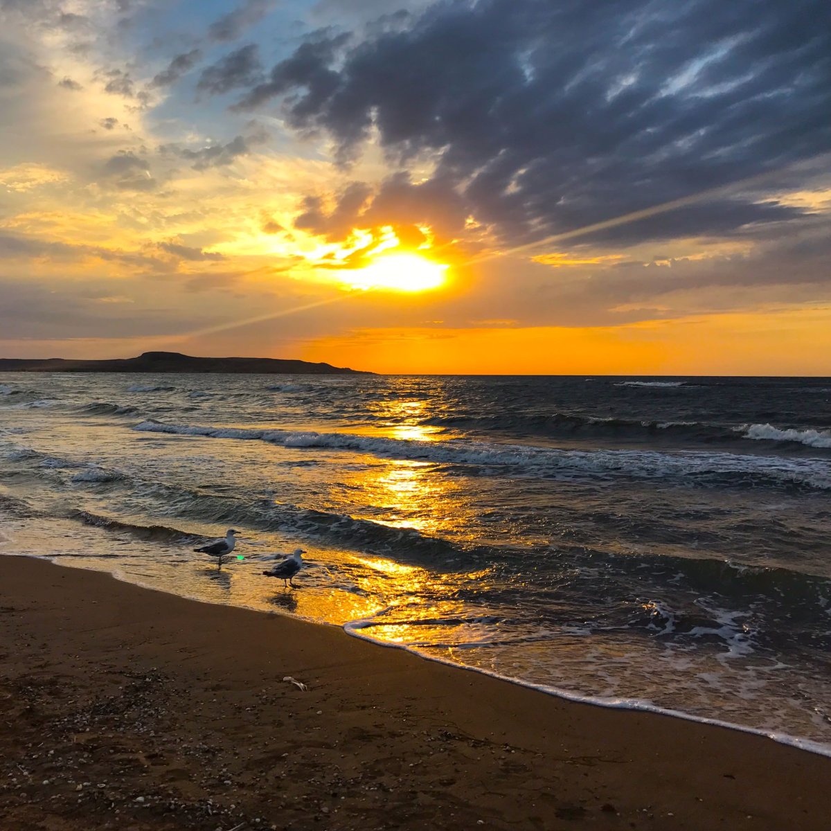 Голубицкая Азовское море
