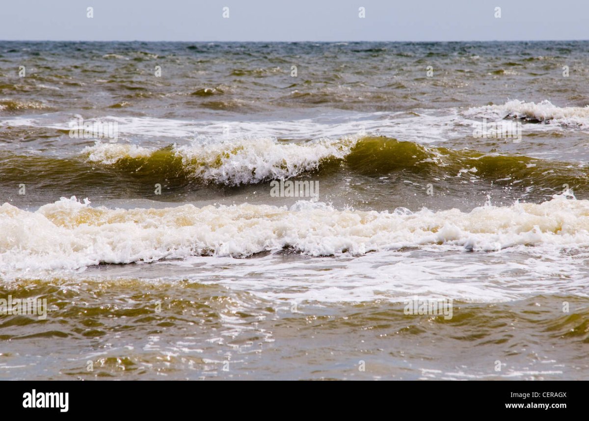 Морская Азовское море