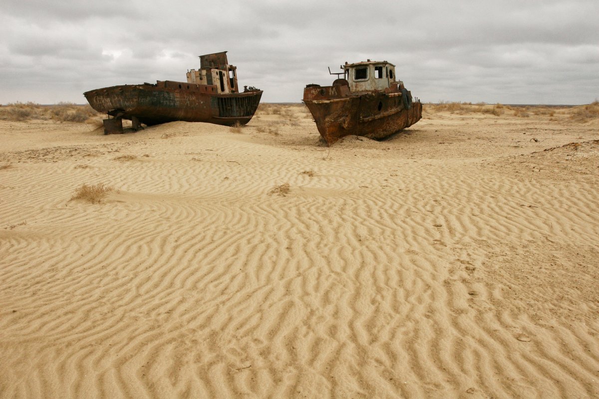 Fishery Aral Sea