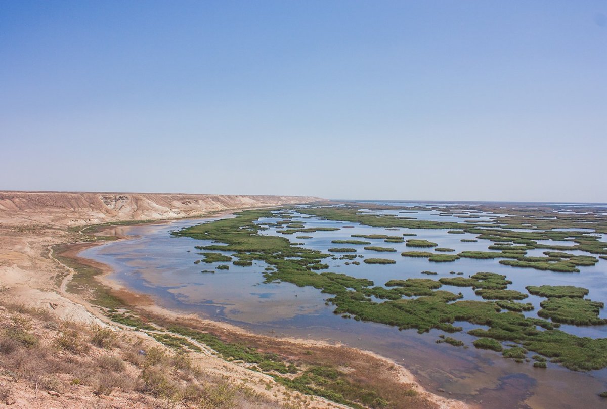 Аральское море Узбекистан