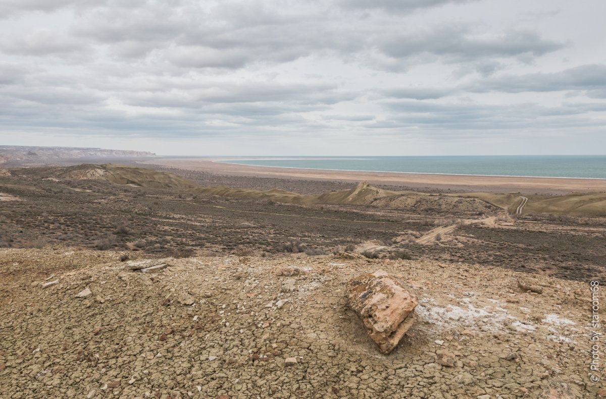 Каракалпакстан море Арал