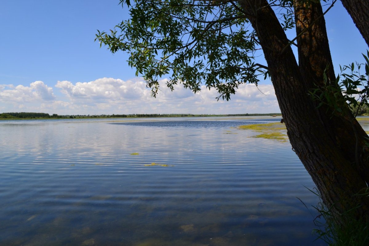 Вадское озеро Нижегородская область