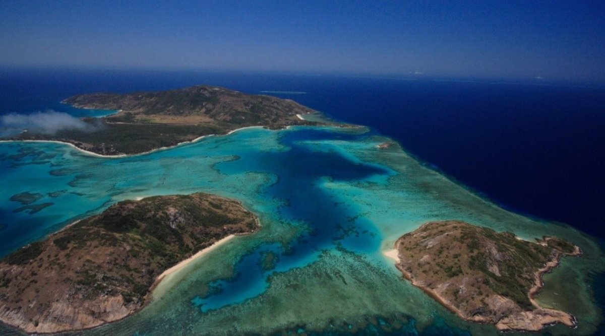 Hayman Island коралловое море