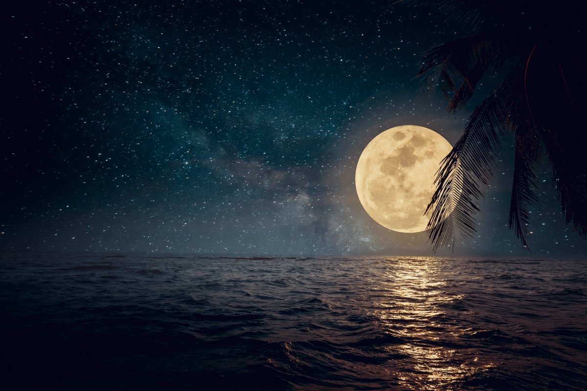 Лунная ночь на море