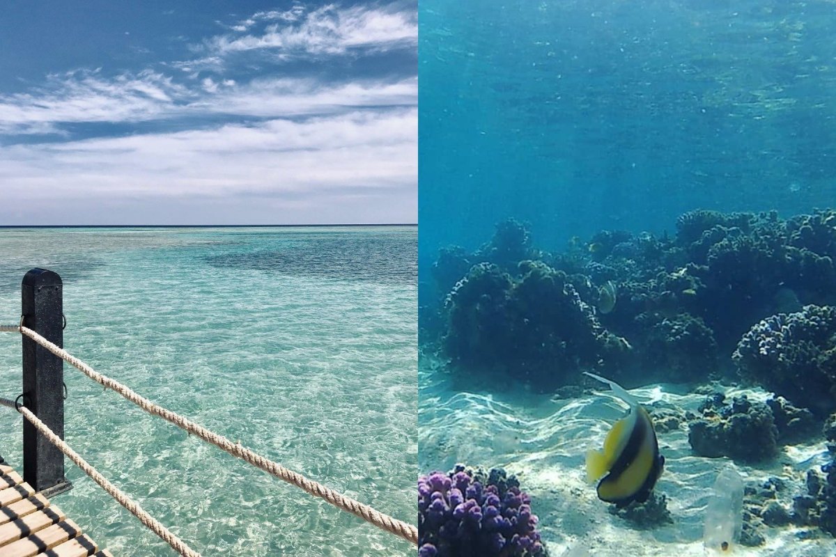 Самое безопасное море
