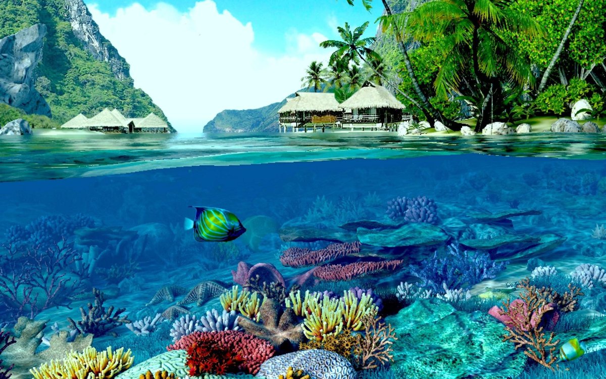 Море Лагуна