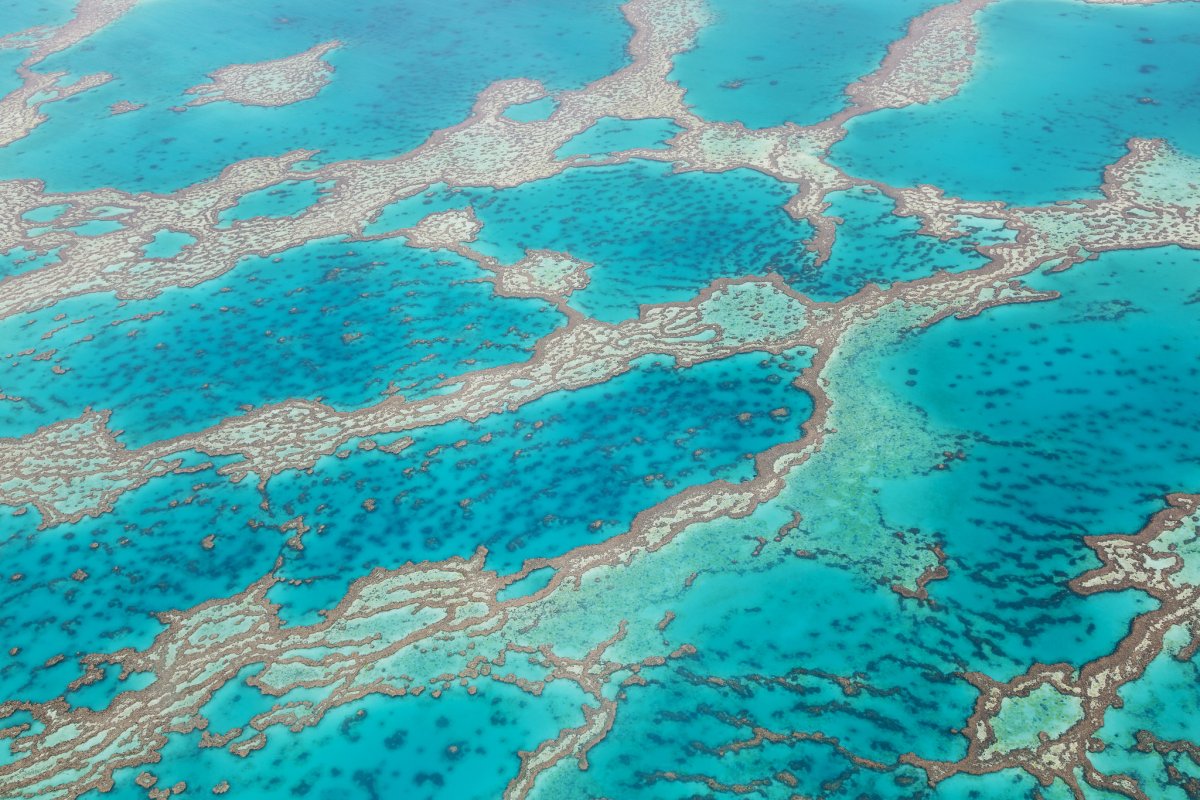 Карибское море вода