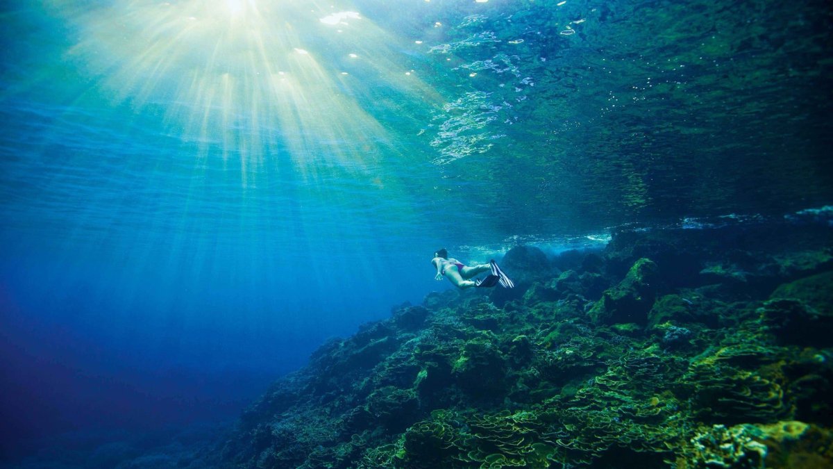 Море под водой