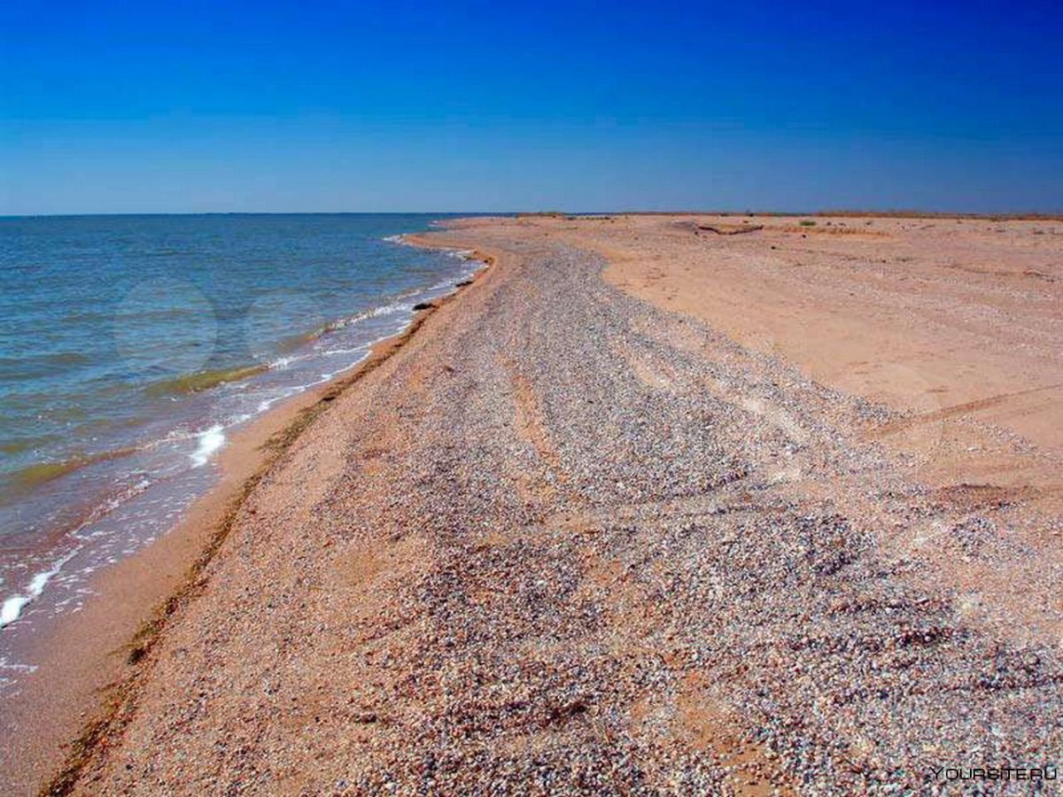 Коса Камышеватская Азовское море