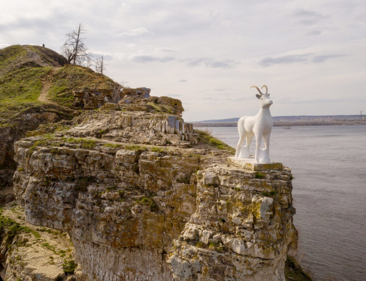 Жигулевск козел Моркваши
