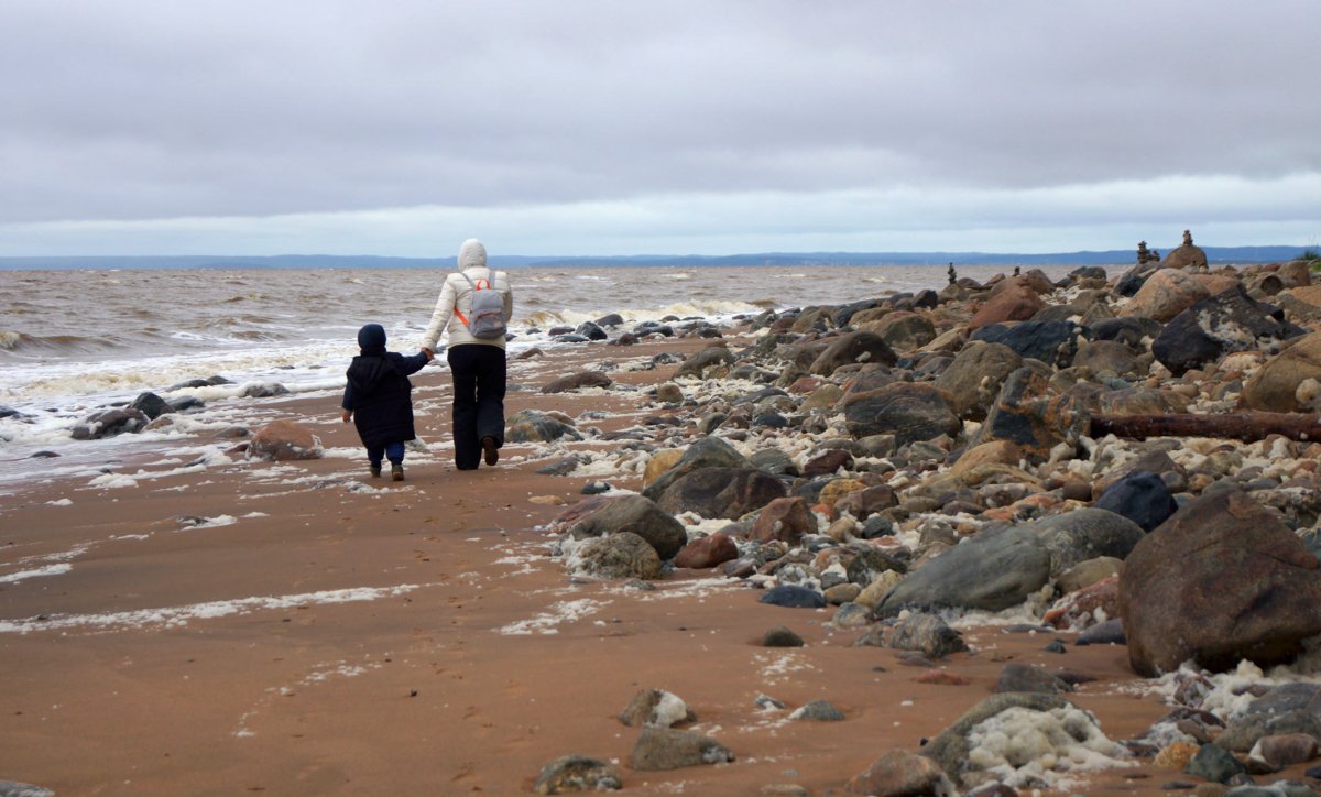 Белое море сейчас