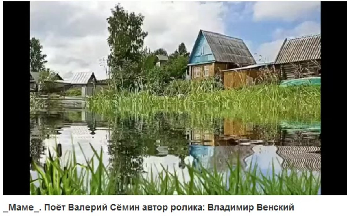 Анимация деревня