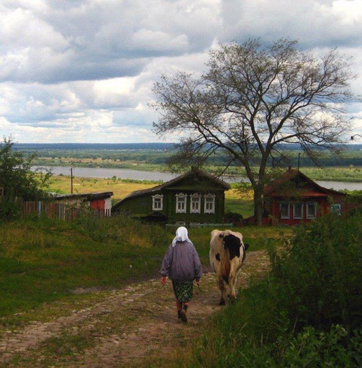 Жизнь в деревне