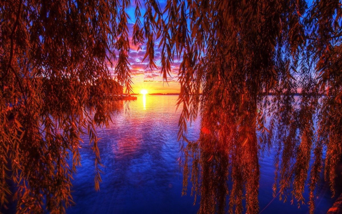 Природа вечер