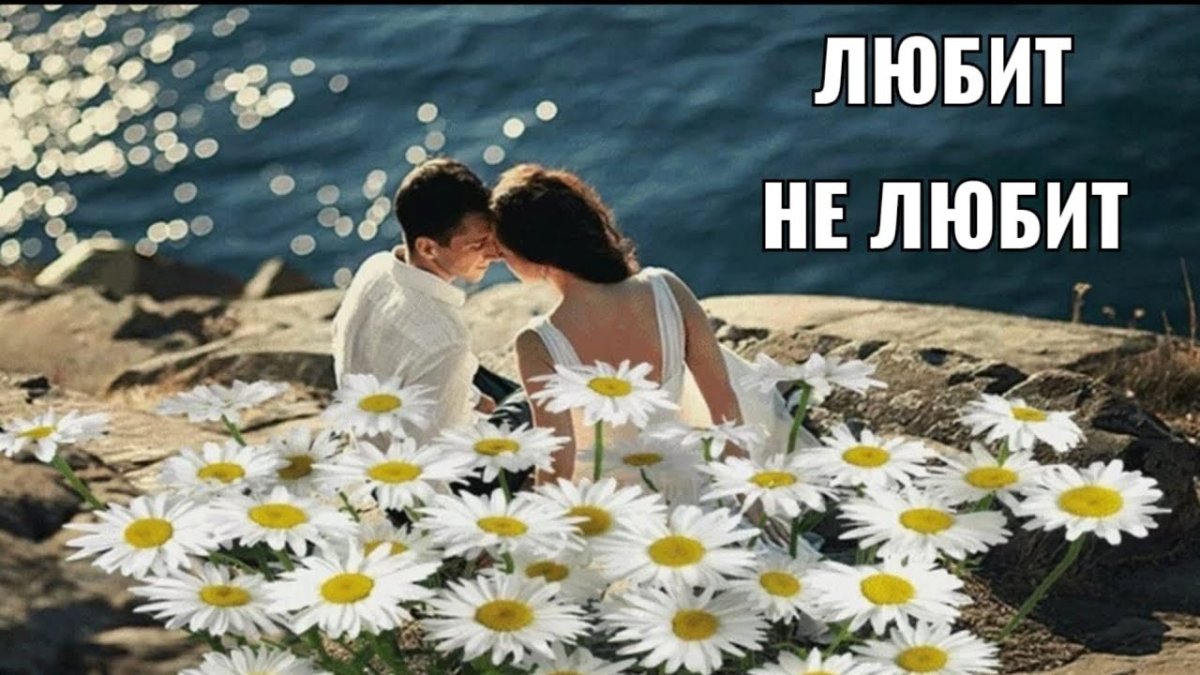 Ромашки романтика