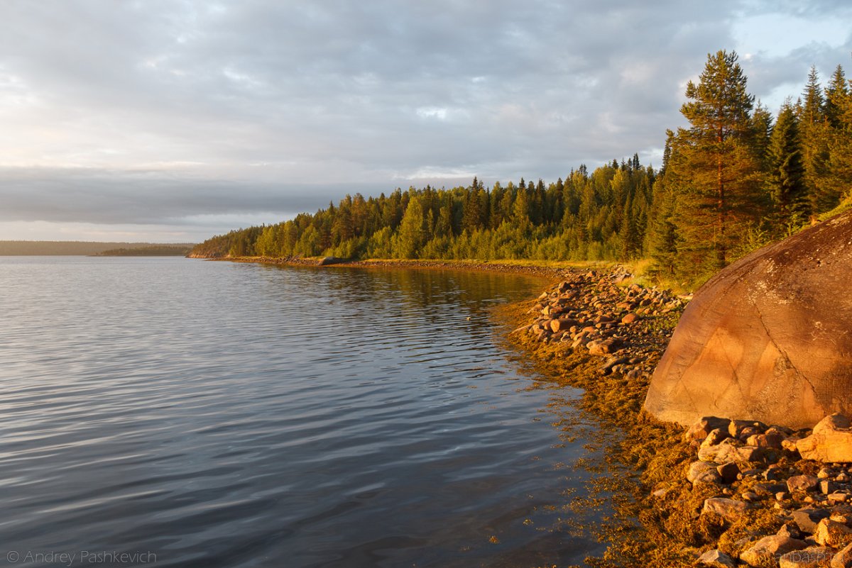 Поселок Чкаловский белое море