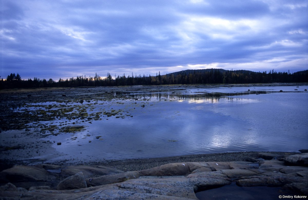 Белое море вода