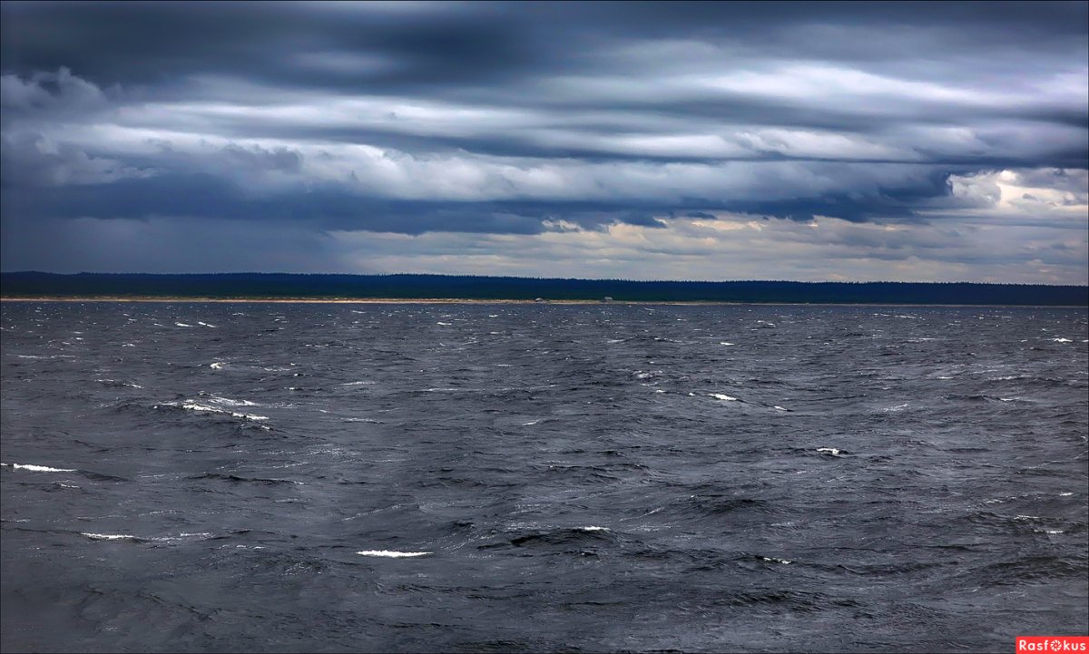 Дубна белое море
