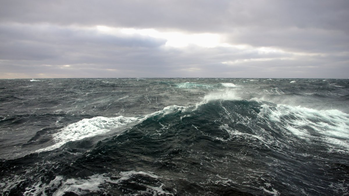 Берег Карского моря