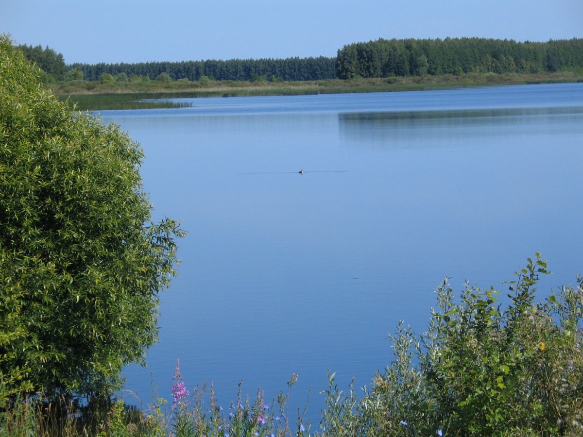 Староюрьево Шушпанское водохранилище