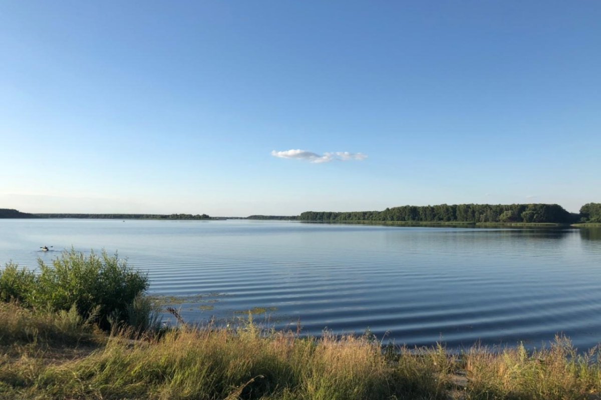 Шушпанское водохранилище Тамбовской области