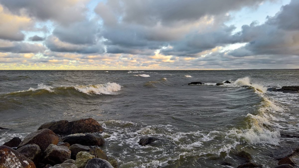 Балтийское море финский залив Санкт-Петербург