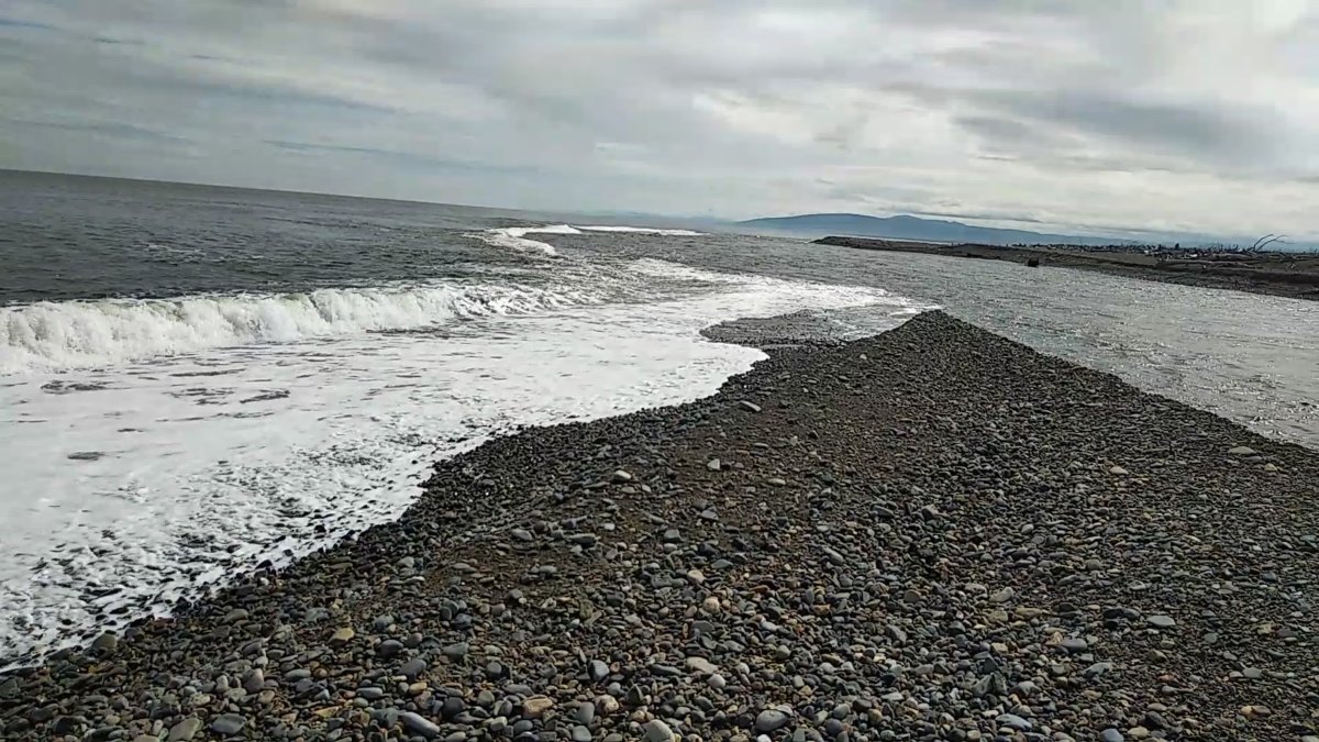 Японское море реки впадающие в море