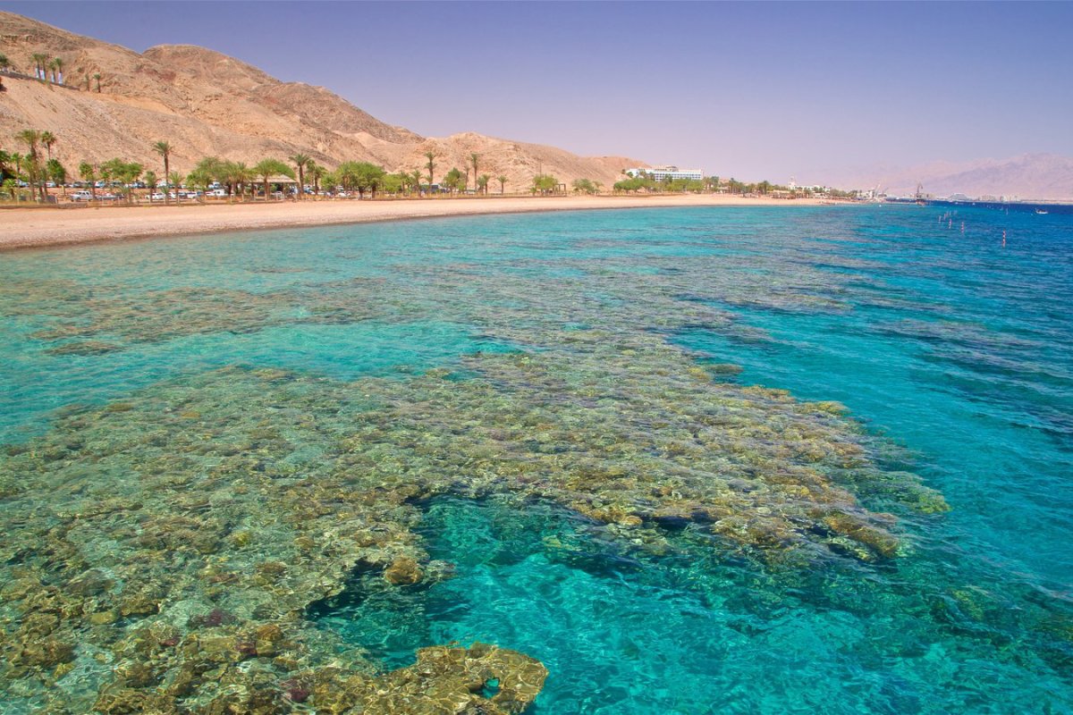 Красное море побережье Эйлата