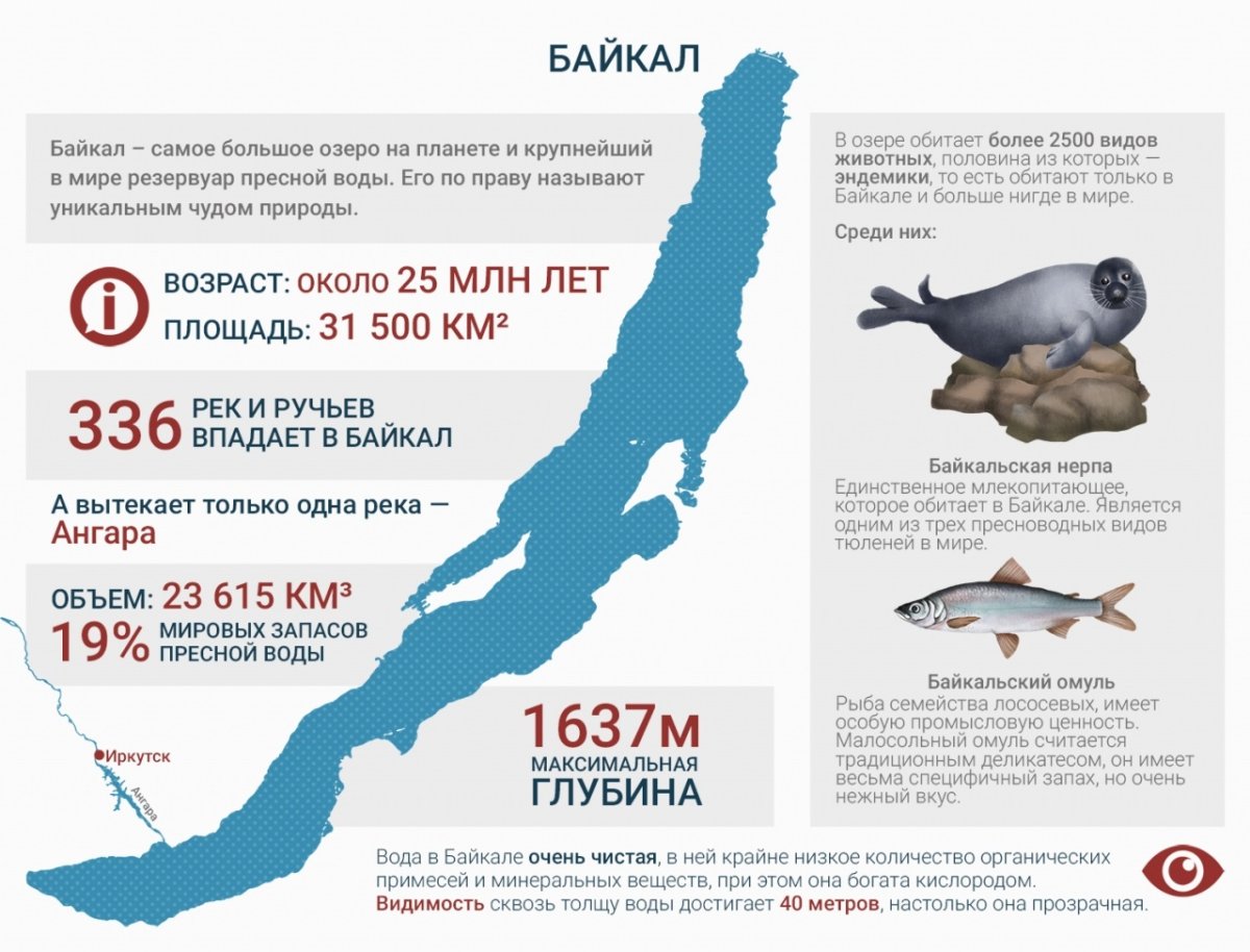 Озеро Байкал инфографика
