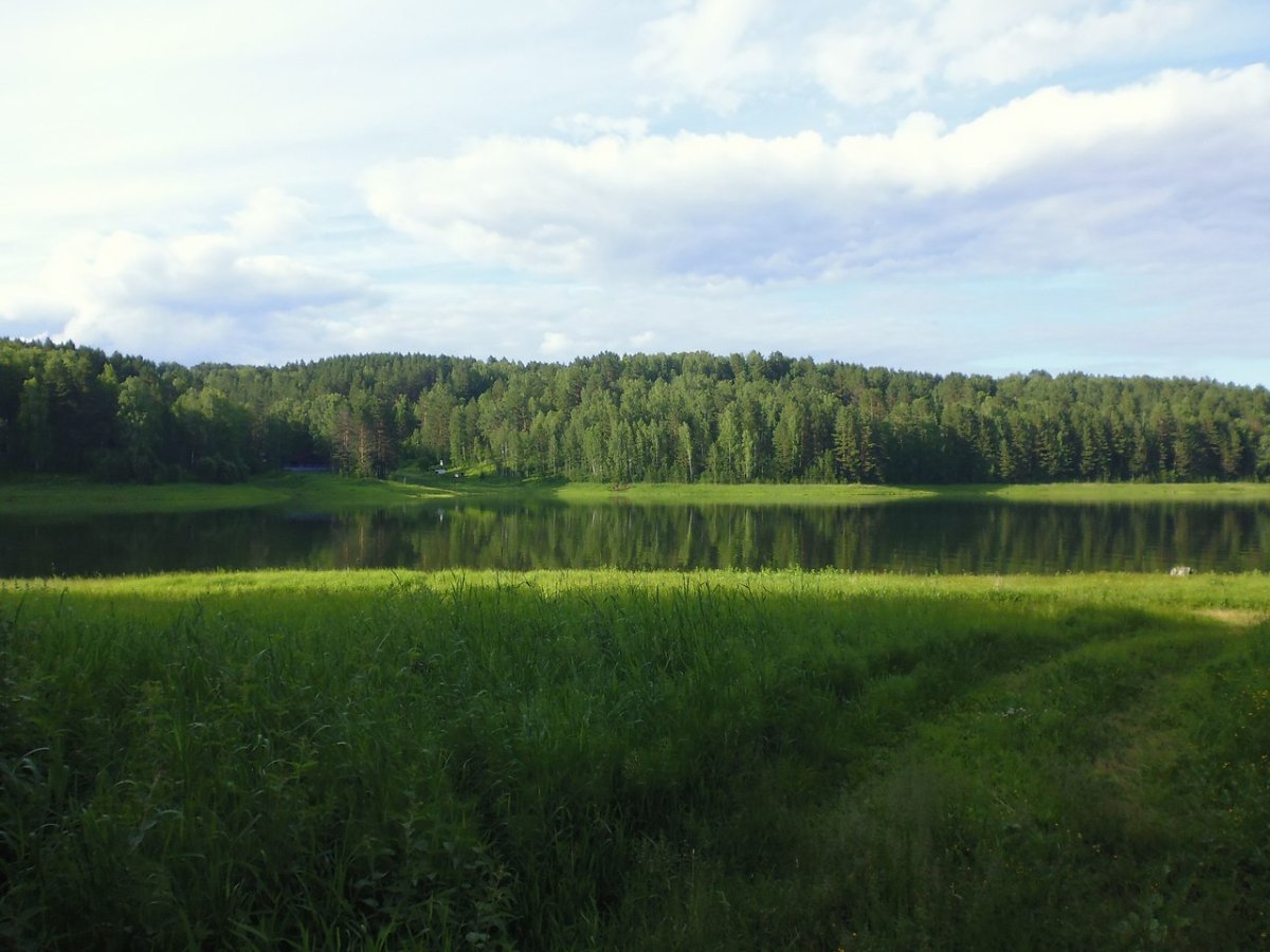 Белые берега деревня