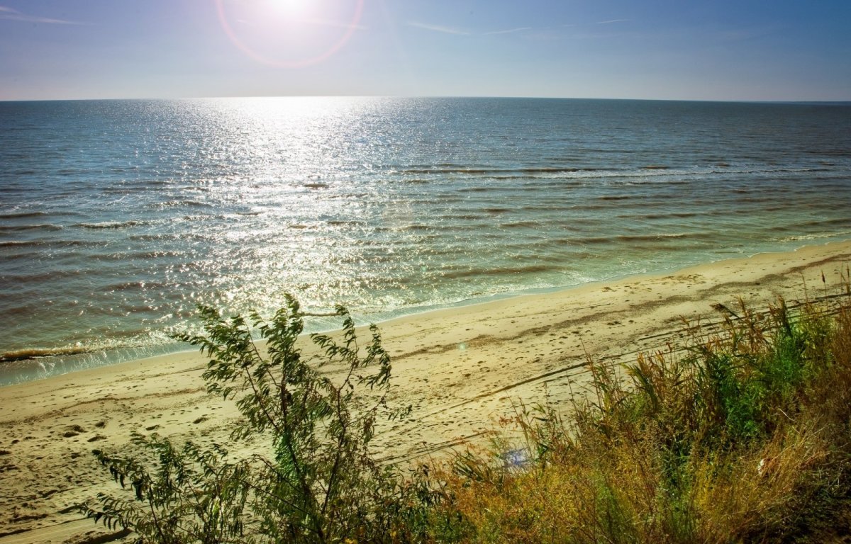 Кучугуры Азовское море природа