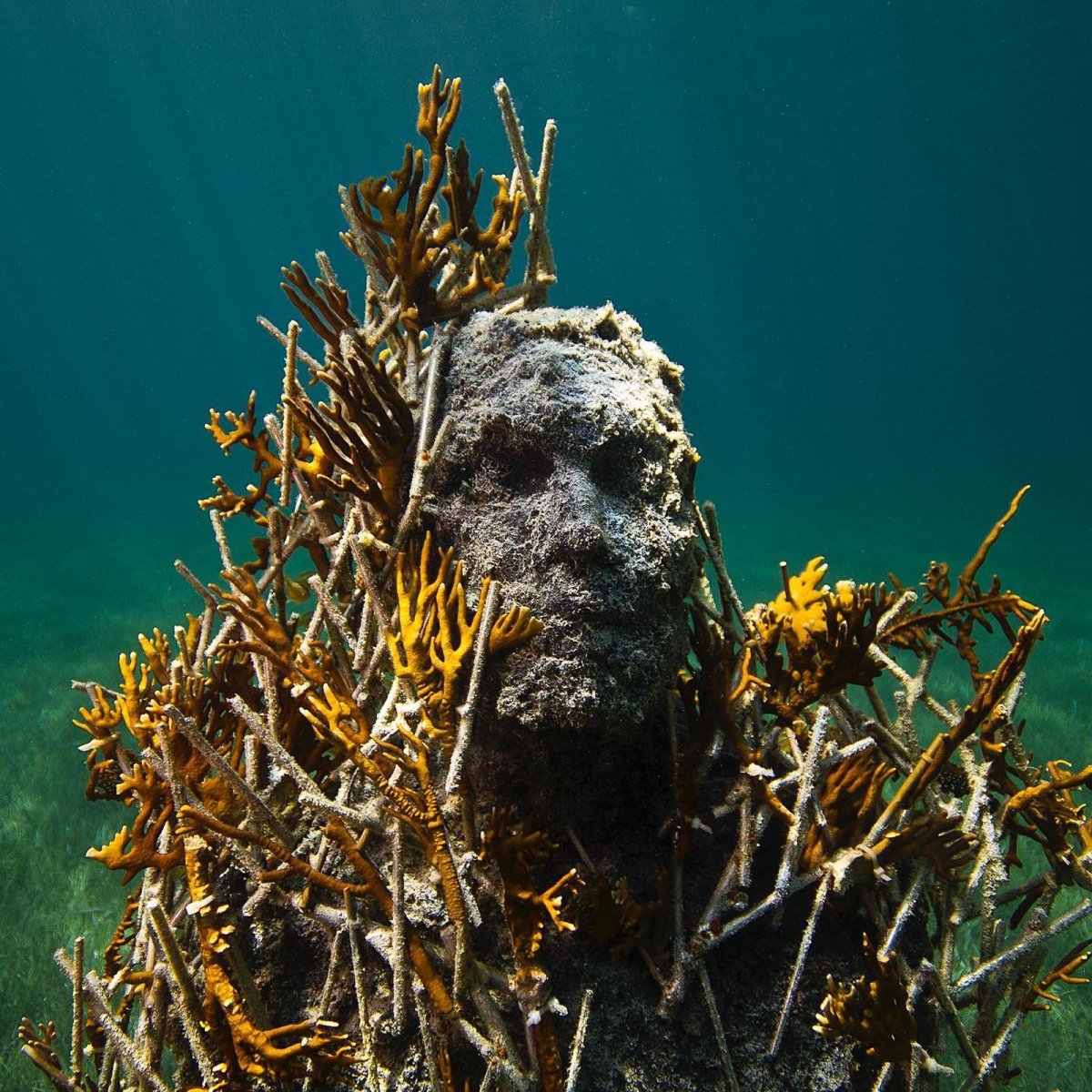Дно Карибского моря