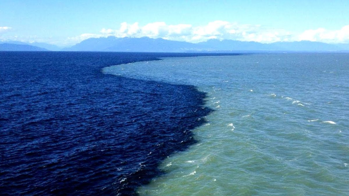 Скаген Дания два моря