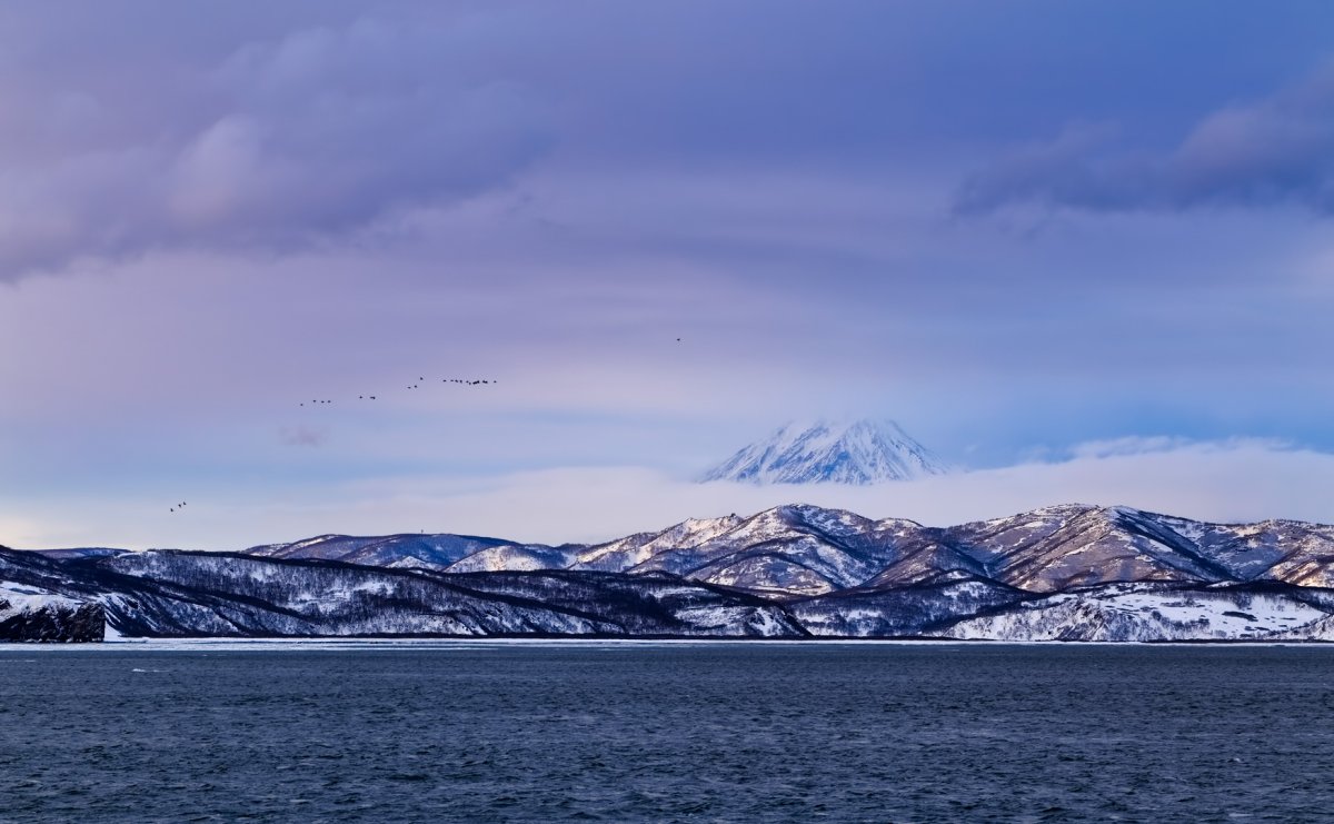 Камчатка побережье Берингово море