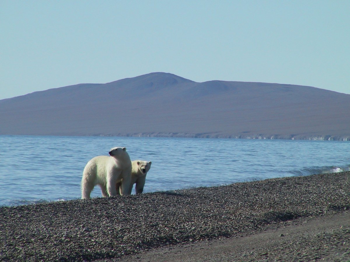 Врангель море
