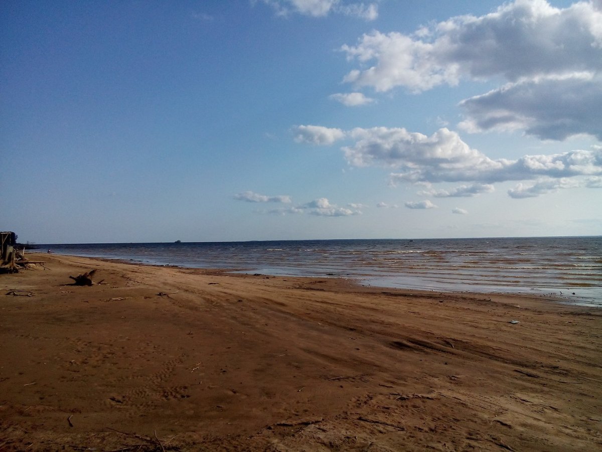 Деревня Милюшино Рыбинское водохранилище