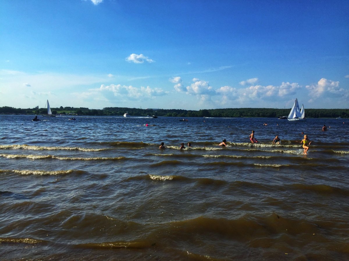 Пляж Троицкое Клязьминское водохранилище