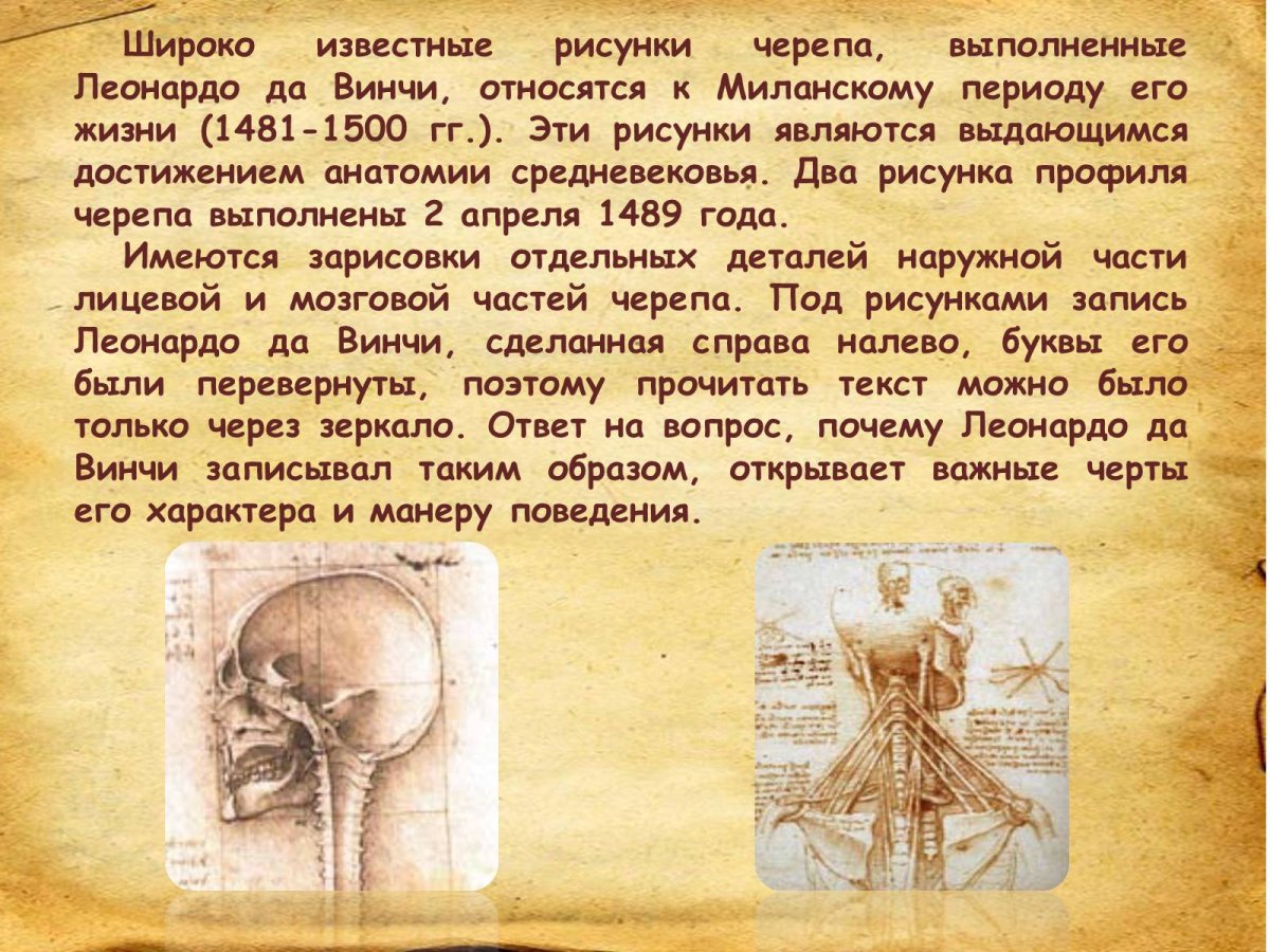Доклад Леонардо да Винчи 8 класс