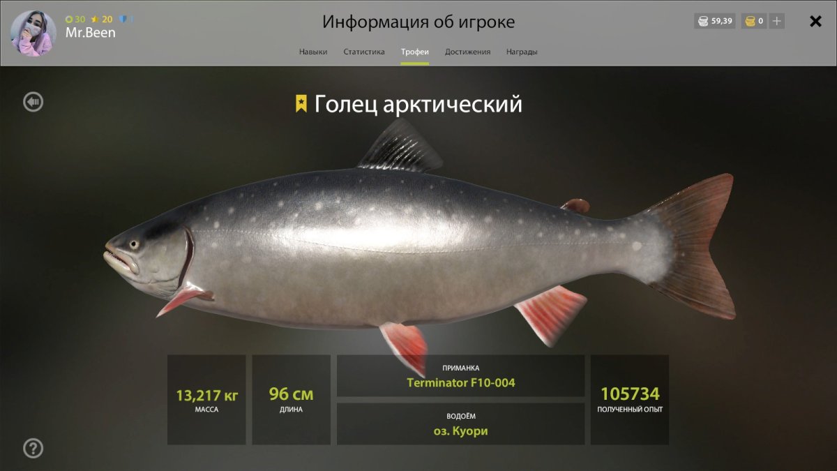 Голец куорский