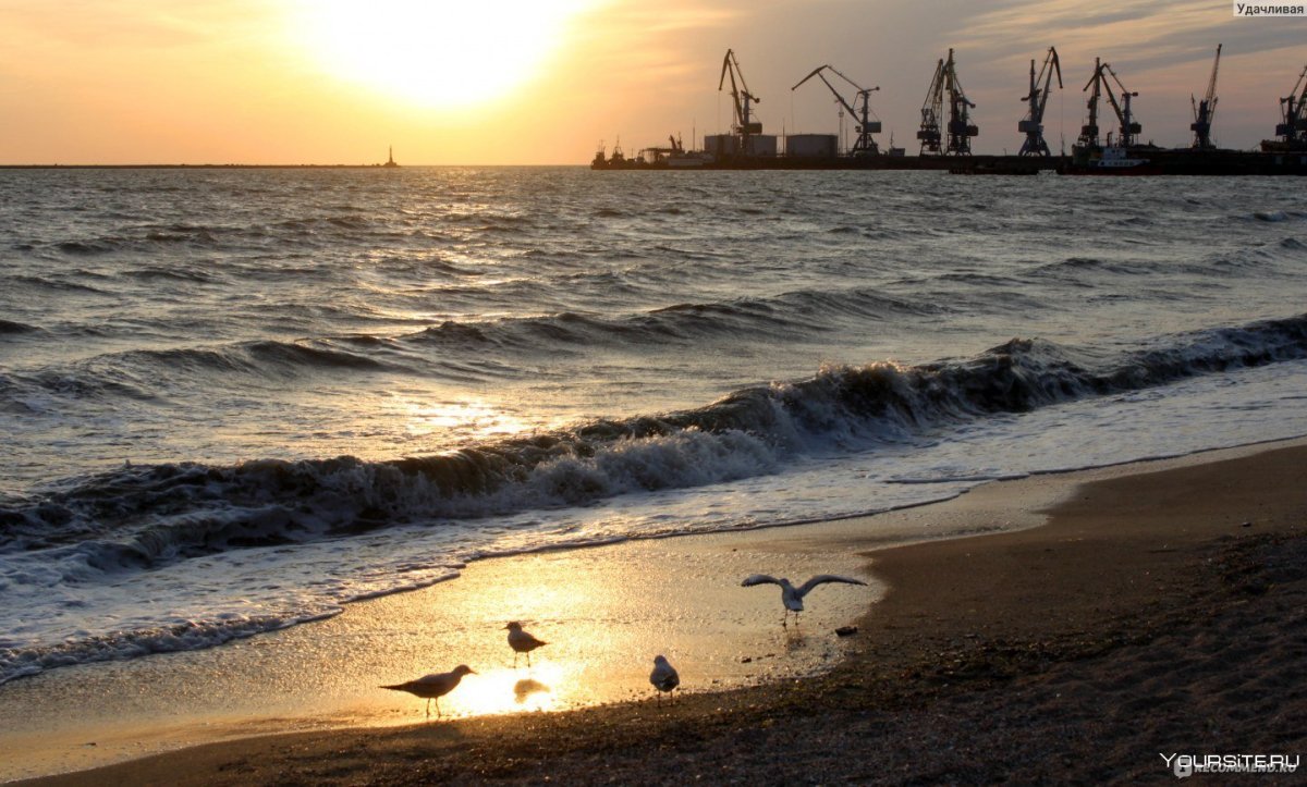 Бердянск море фото