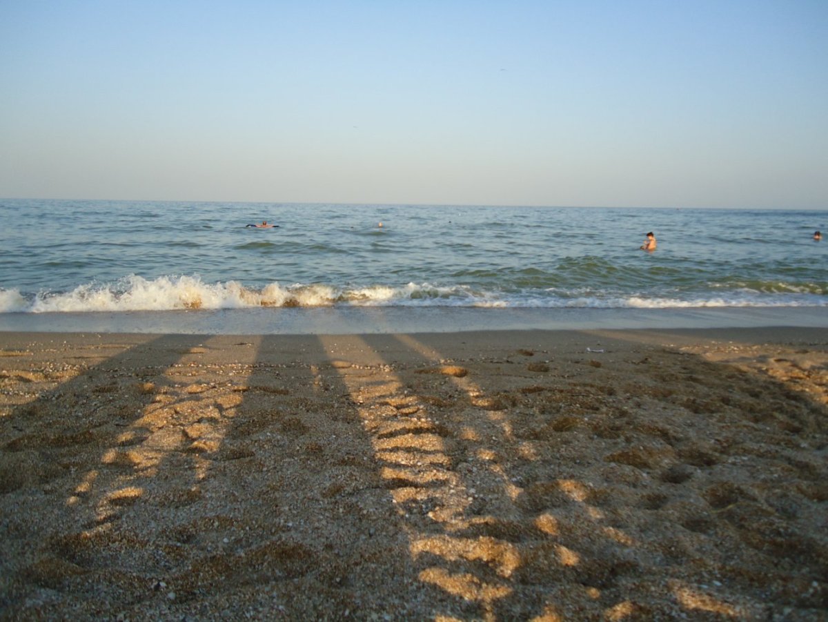 Азовское море Бердянск фото