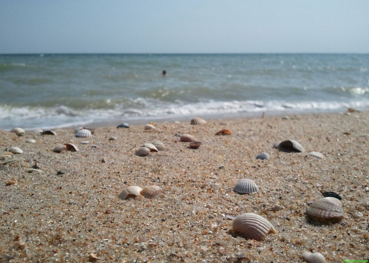 Берег Азовского моря Бердянск