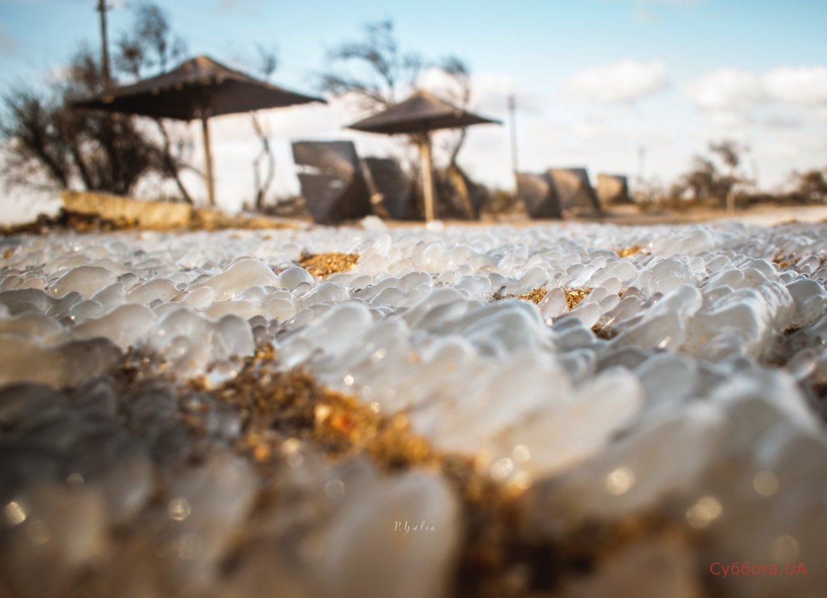 Бердянск вода