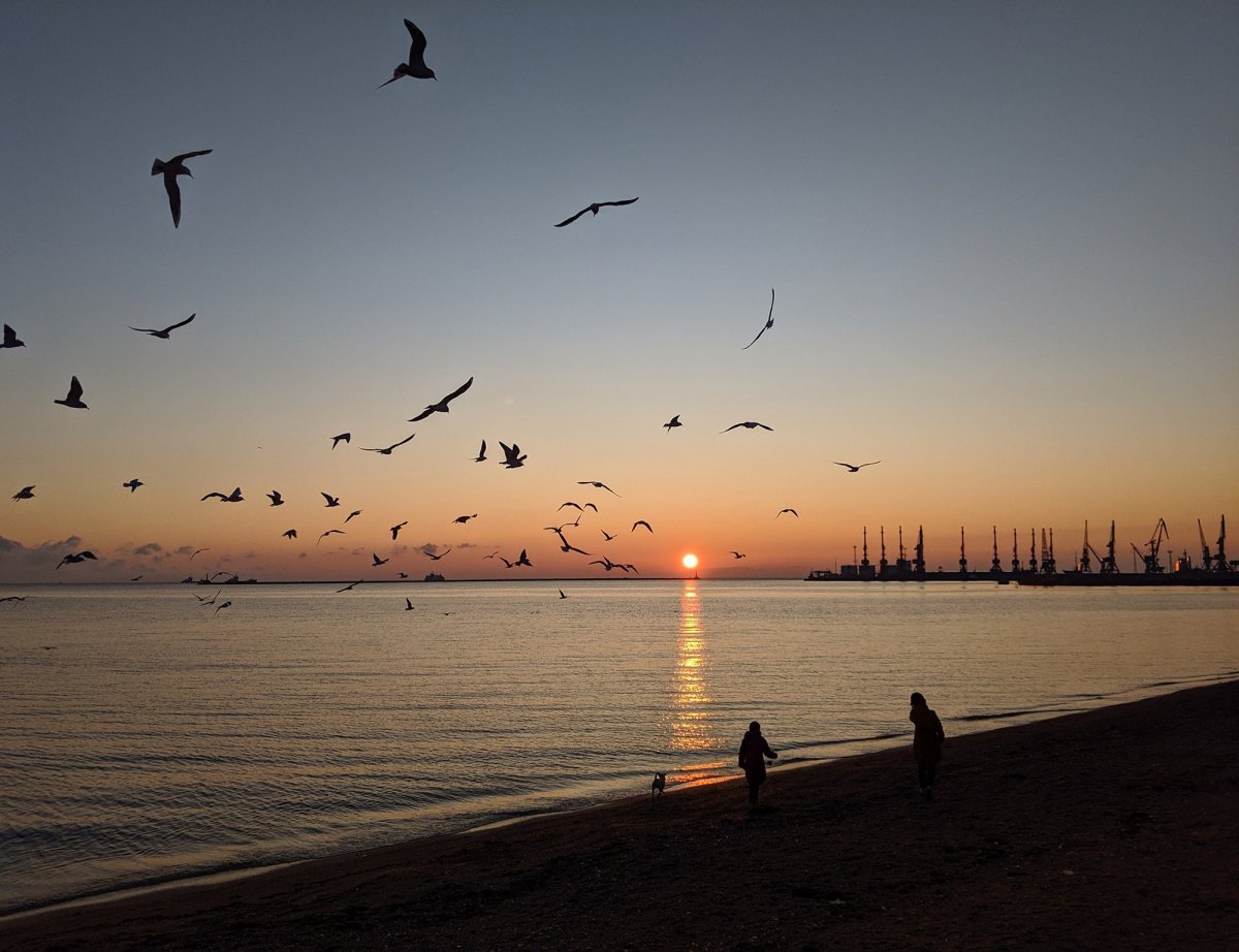Бердянск море с горы