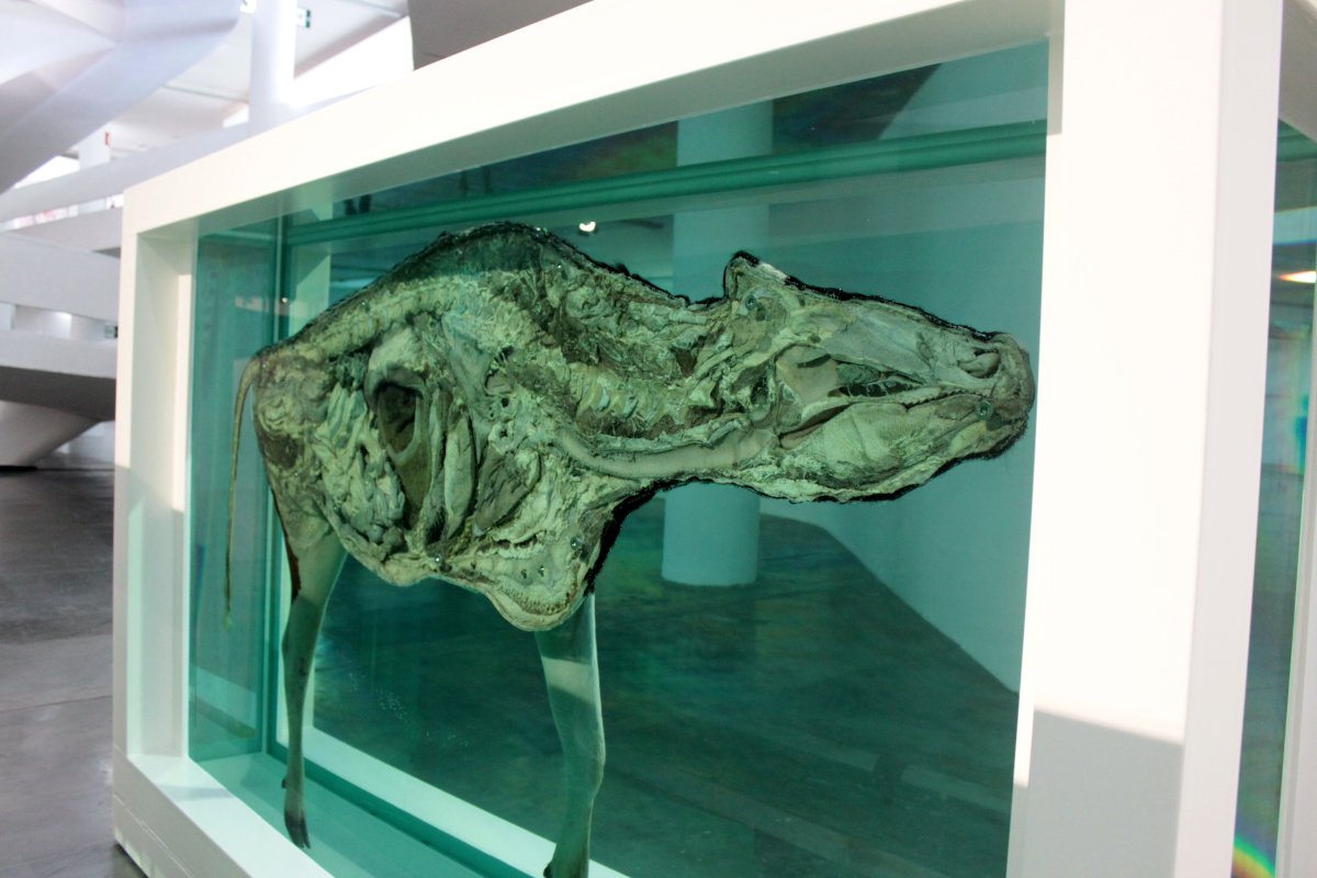 Дэмиен Херст natural History