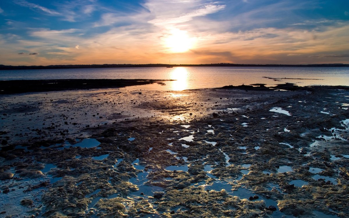 Белое море
