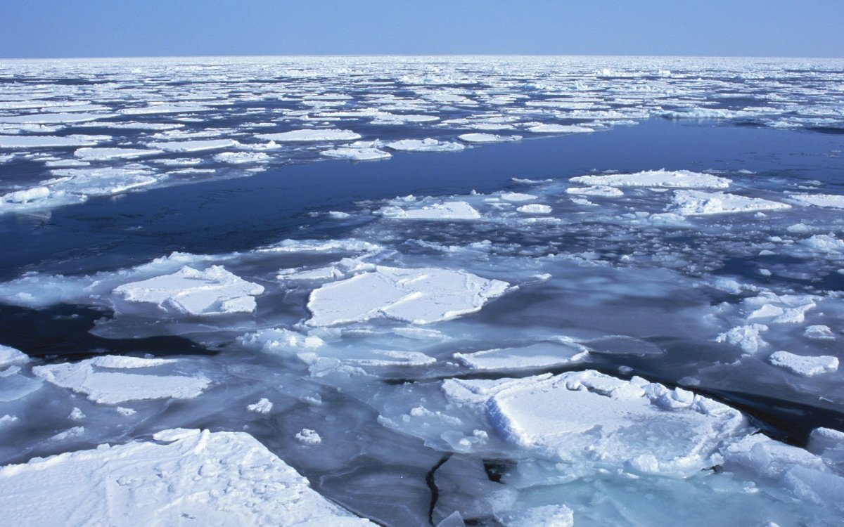 Лед в море Лаптевых