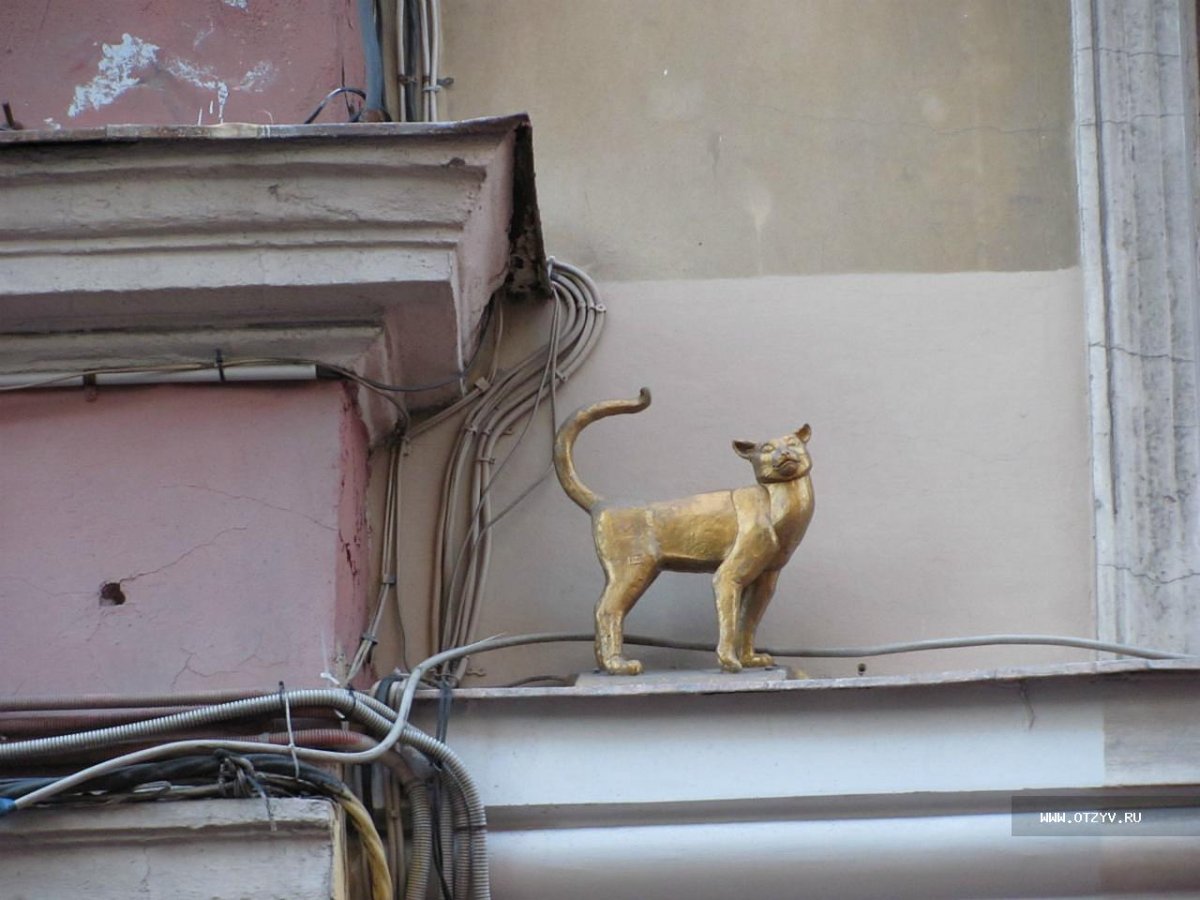 Кот Елисей и кошка Василиса на малой садовой